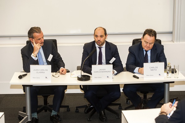 artículo 348 bis de la Ley de Sociedades de Capital