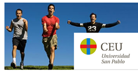 Un equipo de expertos prepara un borrador para regular la insolvencia de entidades deportivas