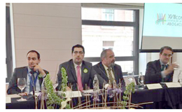 La futura Ley de Servicios Profesionales genera inseguridad jur�dica para profesionales y ciudadanos