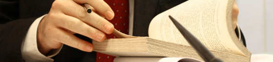 A�o nuevo; Proyectos profesionales nuevos