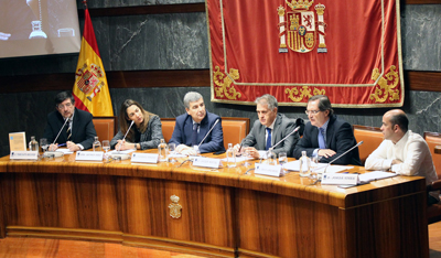 FEAPS analiza la situación de las personas con discapacidad intelectual ante el proceso penal