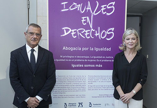 ICAV Iguales en Derechos. Abogacía por la Igualdad