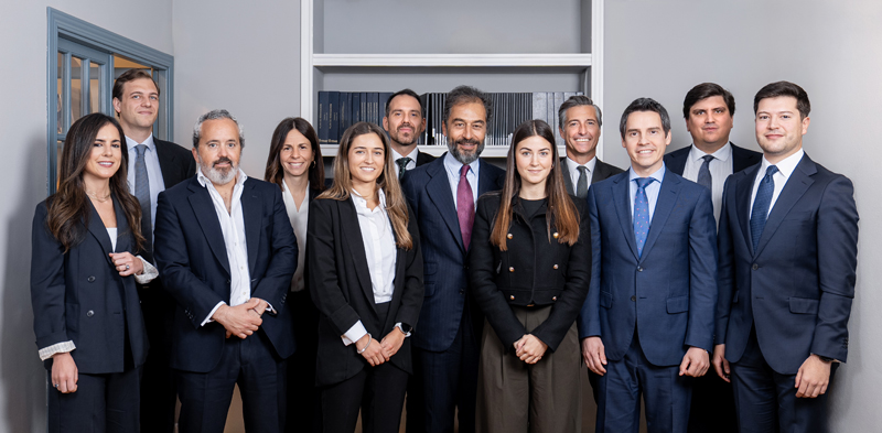 Carmen Alonso, socia; Ignacio Redondo, asociado; José Ramón Vizcaíno, socio; Elena Oñoro, socia; Gabriela Fernández Muñoz, becaria; Antonio Miguel Caneva Lobato, socio; Jesús Almoguera, socio; Cinta Garrido Pulido, becaria; Juan Oñate, socio director; Eduardo Vázquez de Prada, socio; Carlos González Pulido, socio; Guillermo Amat Pérez, asociado