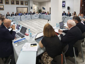 Consejo General de Colegios Oficiales de Graduados Sociales de España