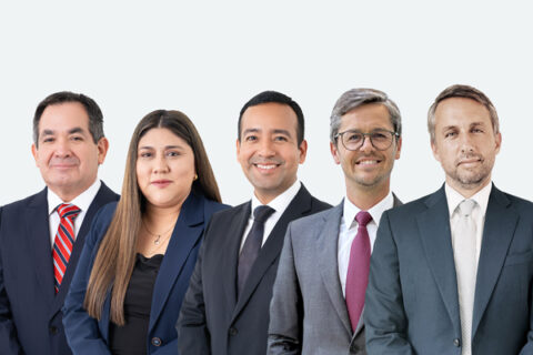Arturo Tuesta, Paola Saavedra, Ronald Vargas, Luís Roquette Geraldes, Martim Teixeira