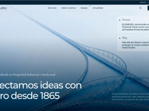 ELZABURU Web