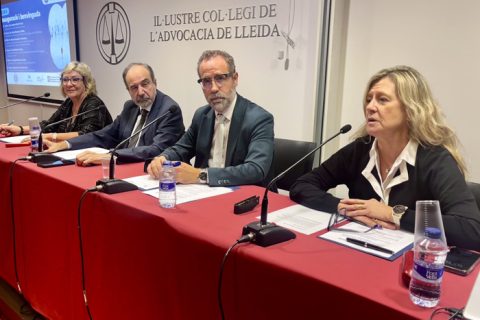 La jornada ‘La aplicación de la LO 1/2025: ¿un cambio de paradigma real en la resolución de conflictos?